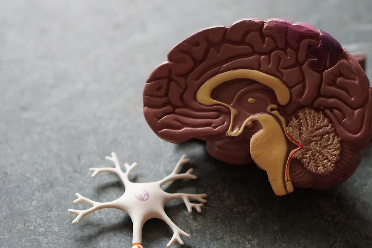 Pinpoint Precision: XJTU Hospital Uses CT-Guided Interventional Radiology to Destroy Brain Tumors Without Open Surgery