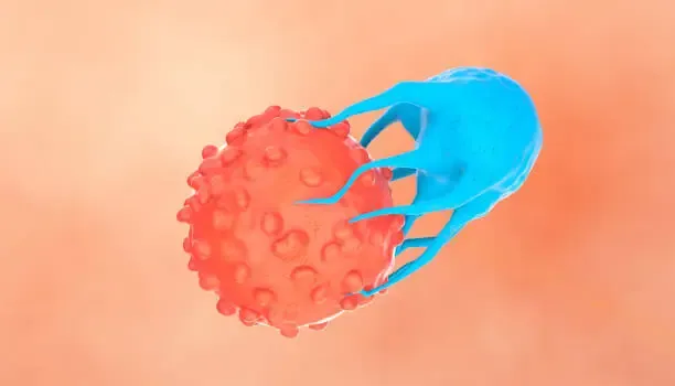 CAR-T cell therapy laboratory